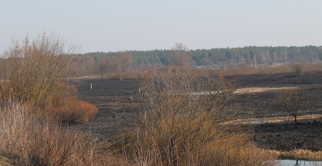 23_03 4 пожара травы.jpg