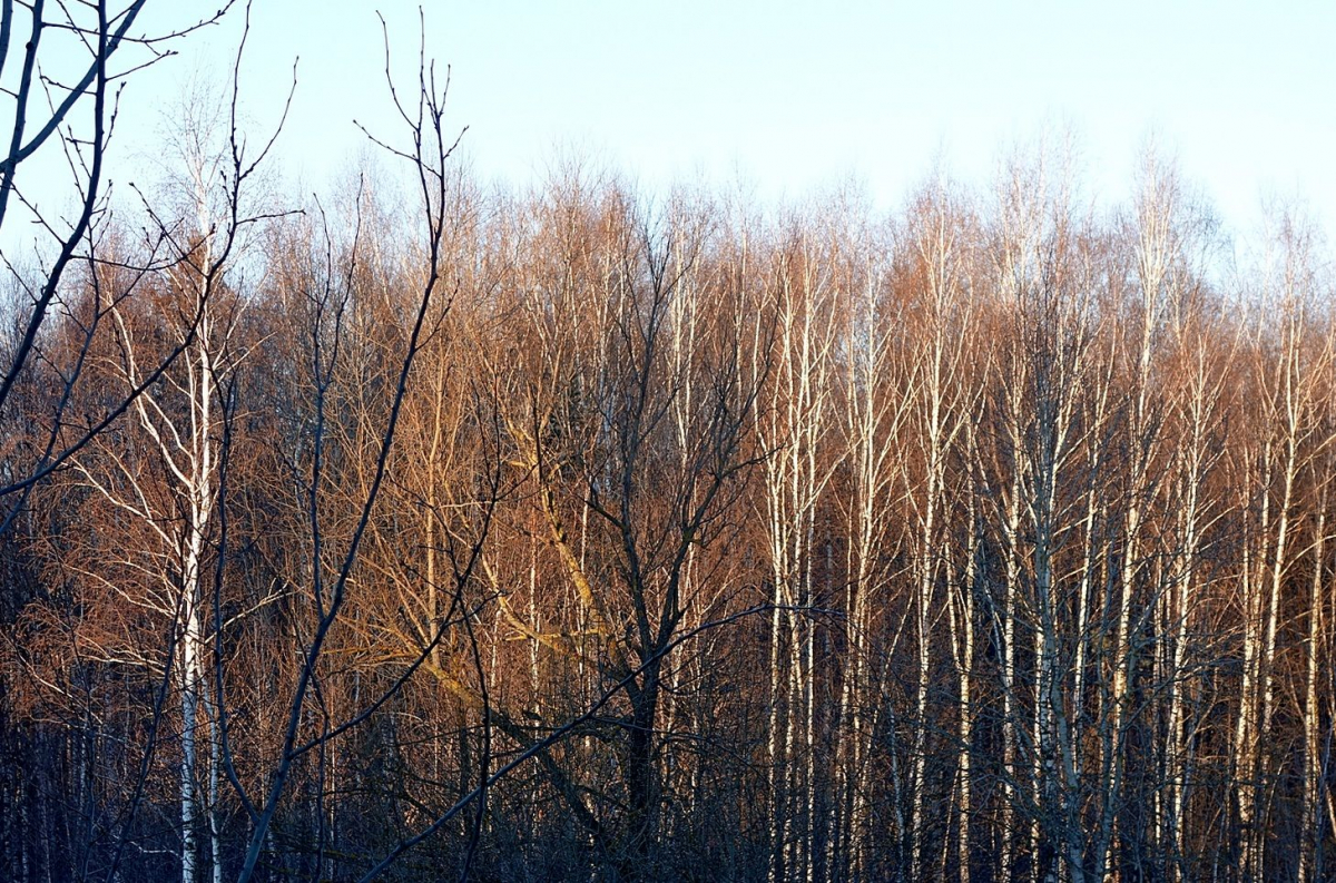 g190311-101.JPG