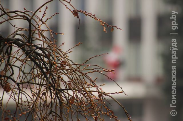 IMG_0713_resultccccc.JPG