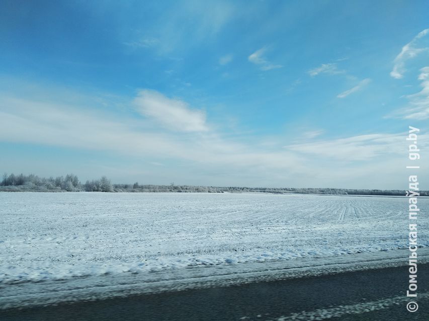 IMG_20190327_093635.jpg