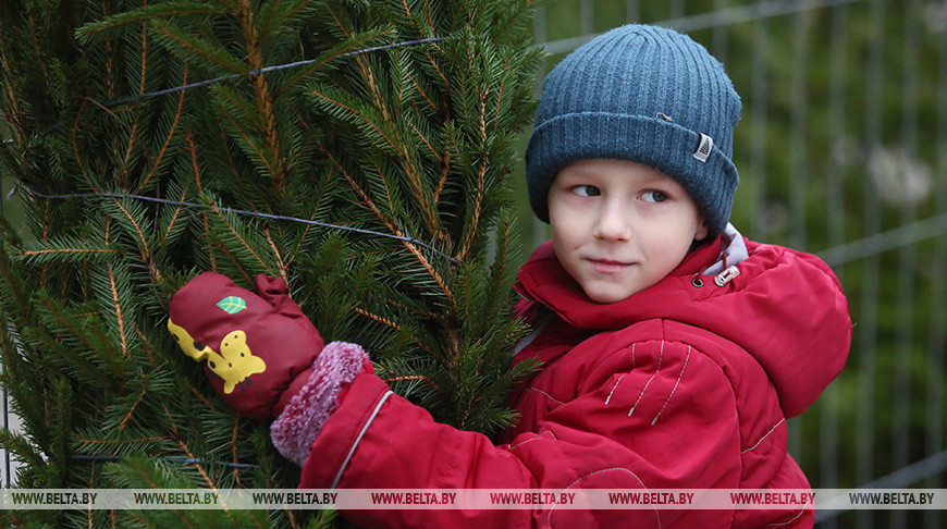 000022_1641462381_478304_big.jpg