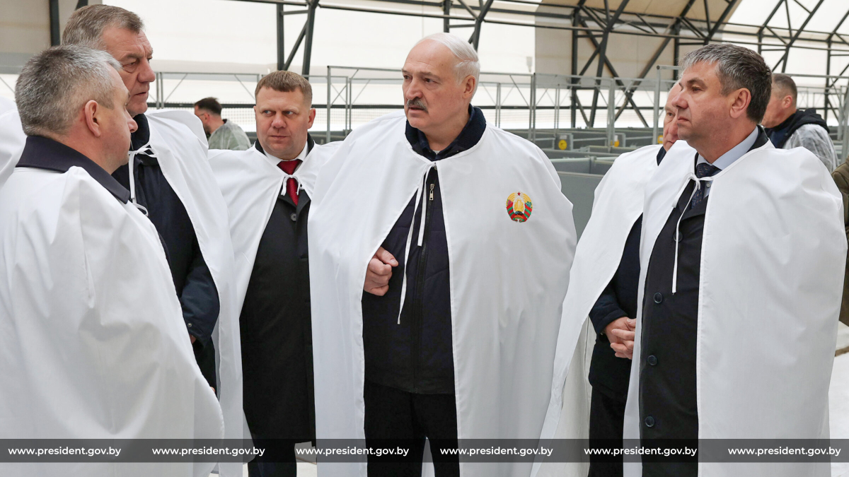 Президент Беларуси Александр Лукашенко осматривает новые деревянные коровники в Агро-Лясковичах Петриковского района