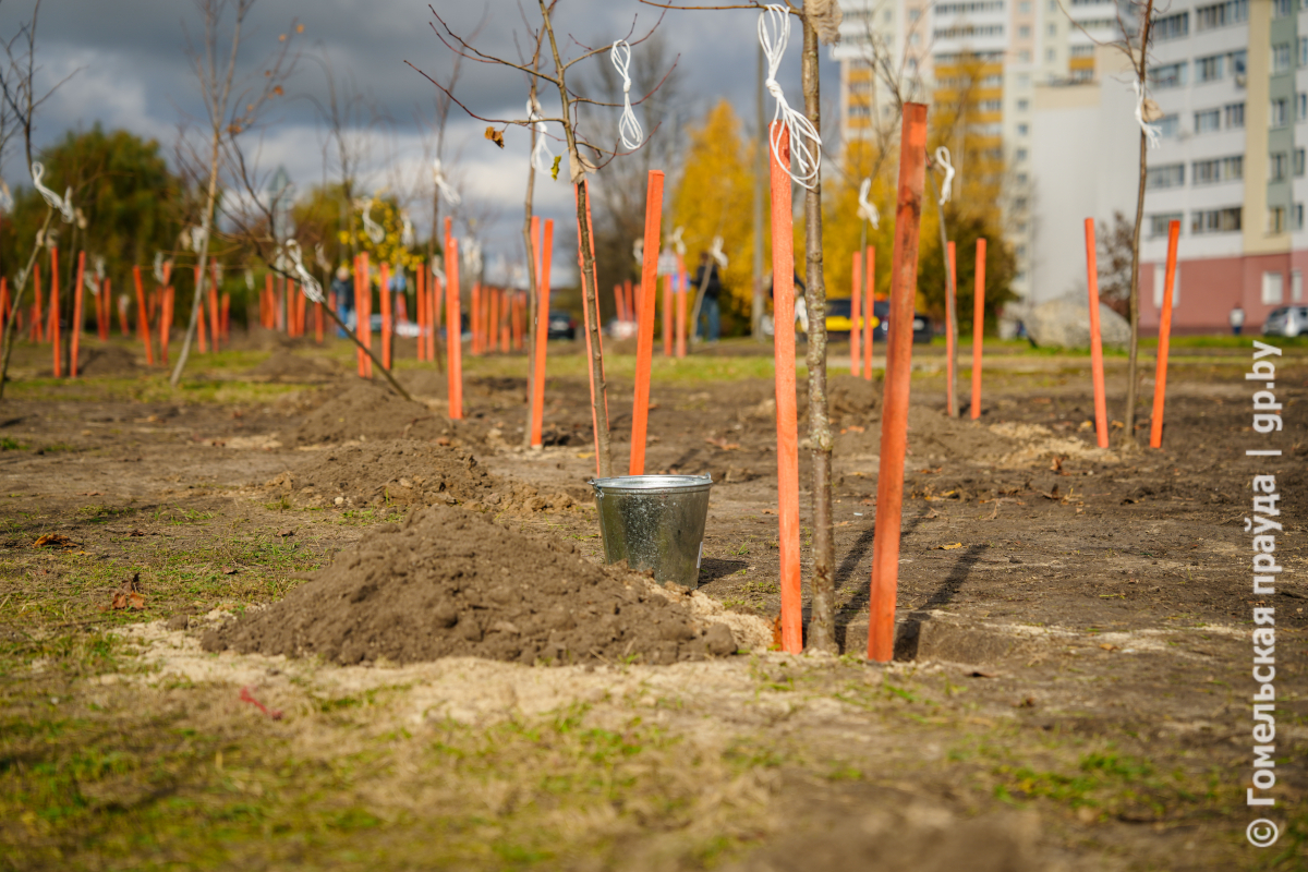 subbotnik.jpg