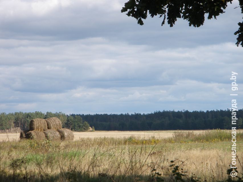 P9230007.JPG
