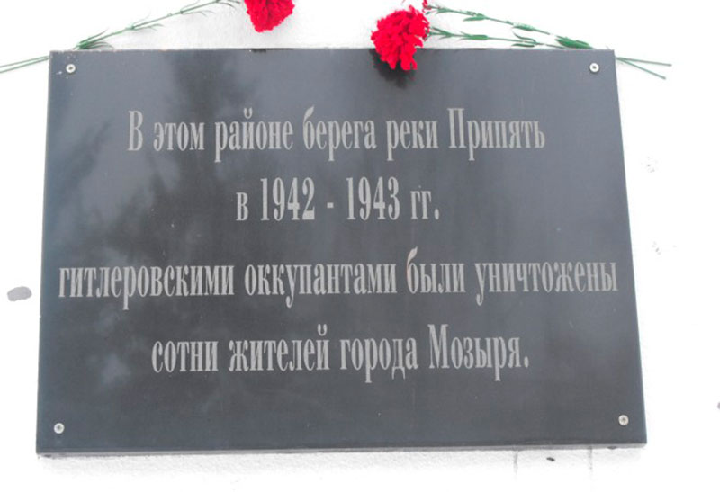 67353319.jpg