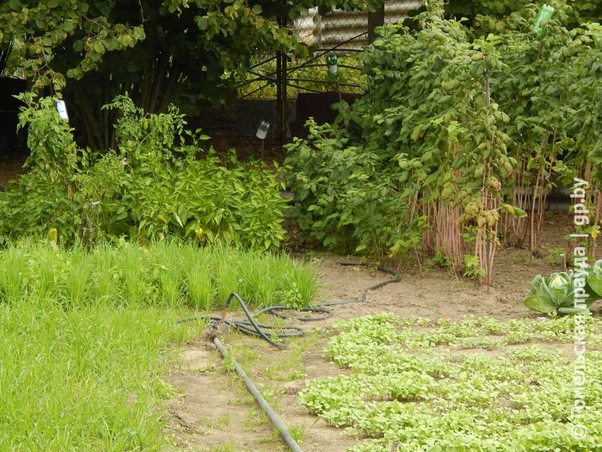 DSCN3063.JPG