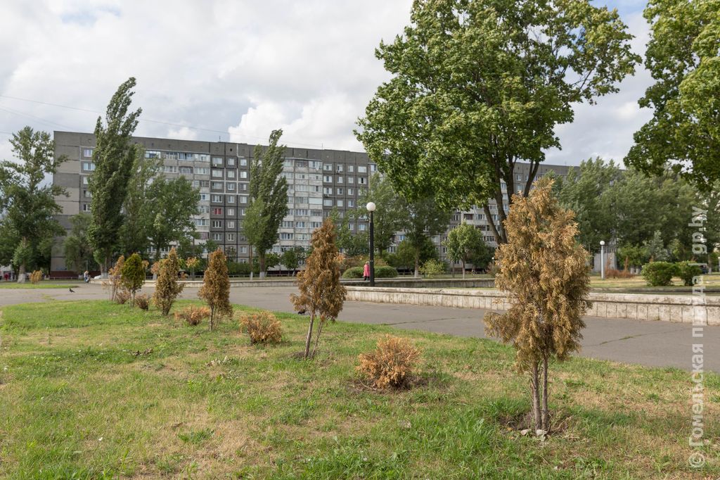 IMGL0710.jpg