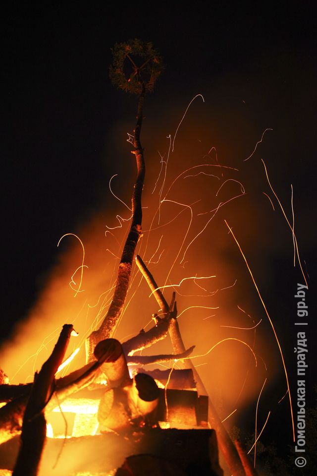 IMG_3695.jpg IMG_3695.jpg