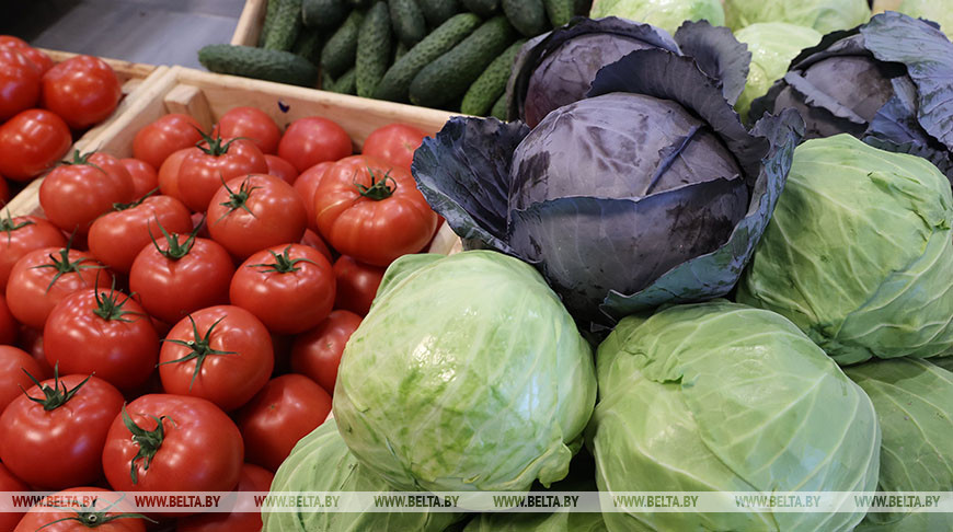 000019_1658822092_515511_big.jpg 000019_1658822092_515511_big.jpg