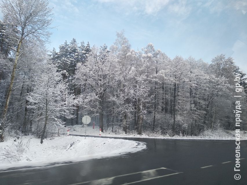 IMG_20190327_091924.jpg