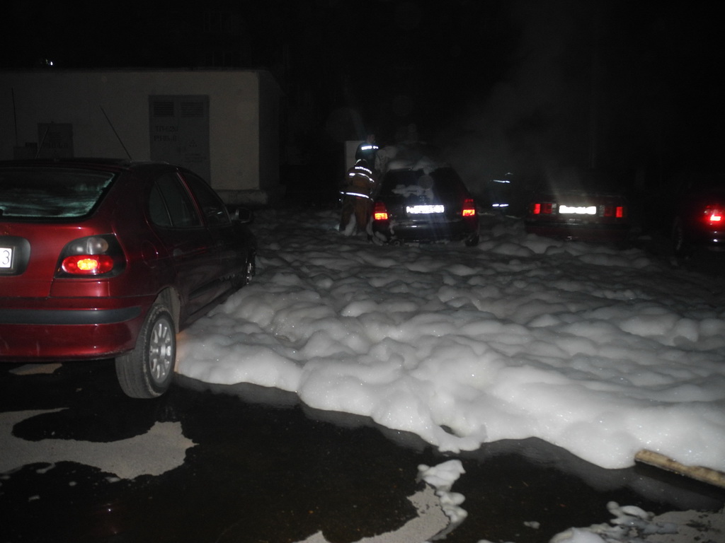 DSCN6077.jpg