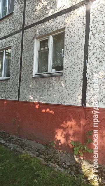 изображение_viber_2020-09-24_11-38-16.jpg