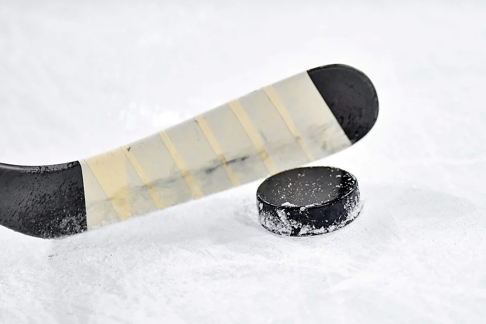 ice-hockey-4285440_960_720.jpg ice-hockey-4285440_960_720.jpg