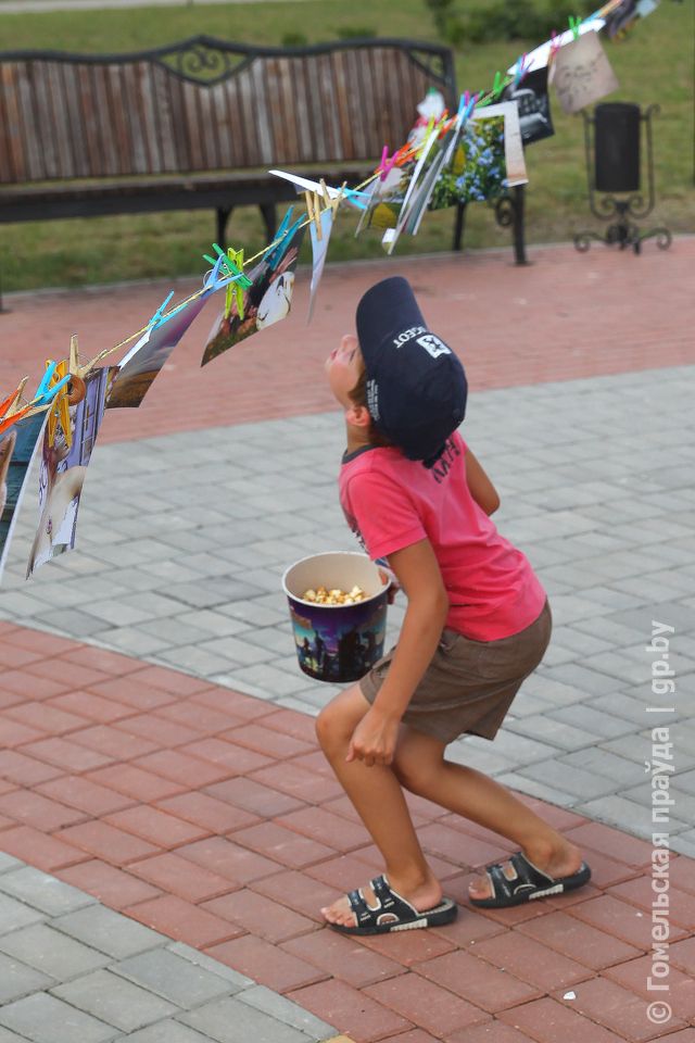 IMG_8459.JPG