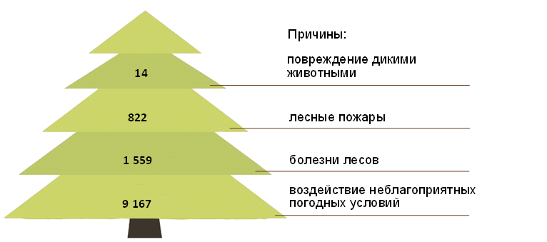 3й.png