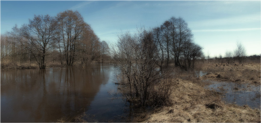 Весенний паводок на реке в Гомельской области, вода на пойме