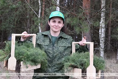 Более 36 млн деревьев высадили в Беларуси во время Недели леса