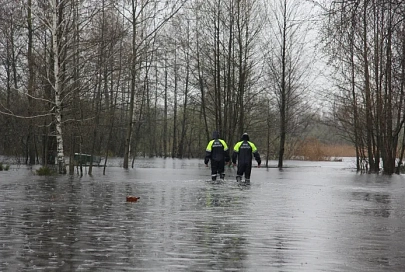 Вода приходит из России. В Добруше зарегистрирован рекордный подъем воды