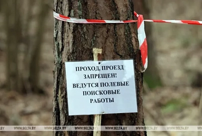 Генпрокуратура с поисковиками проведет в этом году раскопки в 27 ранее неизвестных местах