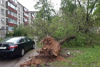 Фотофакт. На Гомельщине погода разыгралась не на шутку