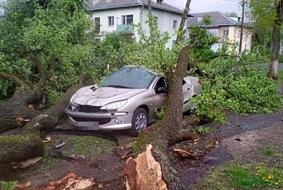 Сильный ветер прошелся по Гомельщине. Последствия в фоторепортаже