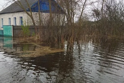 В Гомельской области пик паводка пройден. Власти и МЧС помогают людям справляться с последствиями подтоплений