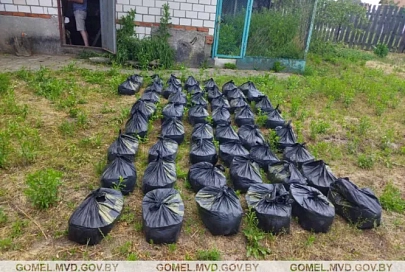 В Речице изъяли из незаконного оборота крупную партию насвая