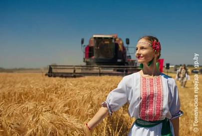 Битва за урожай: на Гомельщине стартовала жатва