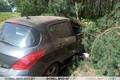 В Житковичском районе в ДТП пострадала 4-месячная девочка-пассажир