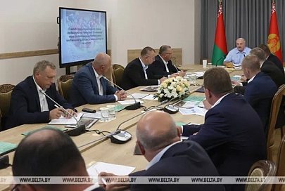 "Дом будет в 10 раз дешевле". Президент Беларуси предложил схему решения жилищного вопроса на селе