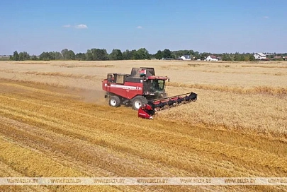 Белорусские аграрии намолотили более 7,2 млн тонн зерна