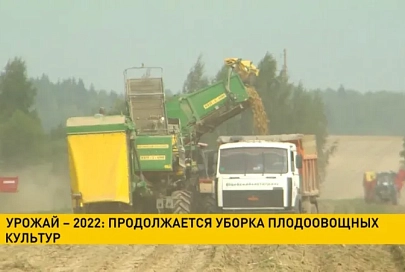 Уборочная-2022: продолжается уборка плодоовощных культур