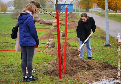 Природе с любовью. Гомельщина присоединилась к республиканскому дню озеленения
