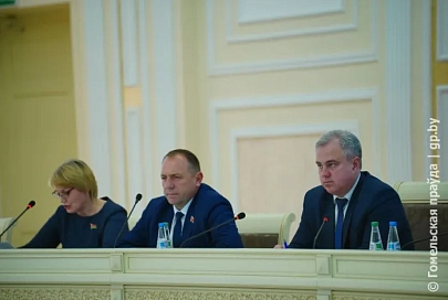 Будущее пишем всей страной: в облисполкоме обсудили законопроекты о ВНС и изменении Избирательного кодекса 