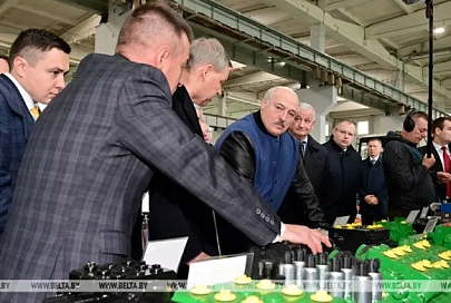 "Главная задача государства". Чем обусловлены жесткие требования Лукашенко в вопросе мелиорации?
