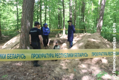 В 2022 году в ченковском лесу под Гомелем подняли останки минимум 260 человек 