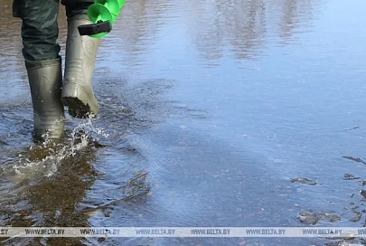 Талые воды подтопили дома в Гомеле и Наровлянском районе