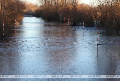 Подтопления талыми водами зафиксированы в Минской и Гомельской областях