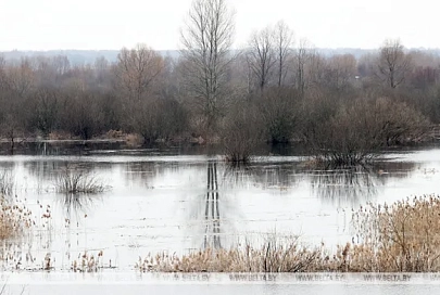 Уровень воды в притоке Припяти в Лельчицком районе приблизился к опасному высокому значению