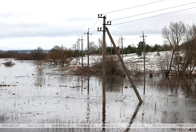Подтопления талыми водами зафиксированы в Гомельской, Витебской и Могилевской областях