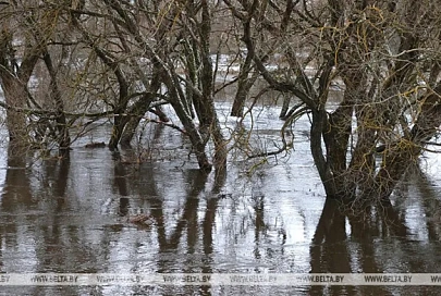 Выход воды на пойму рек зафиксирован в отдельных районах Гомельской области