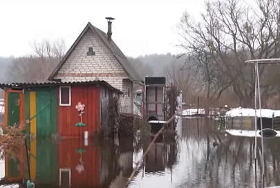Талые воды подтопили более 40 дачных домов в Гомельской области