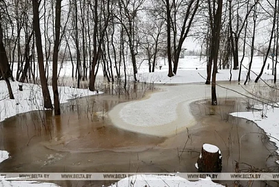 Талые воды подтопили участки дорог в Гомельской области