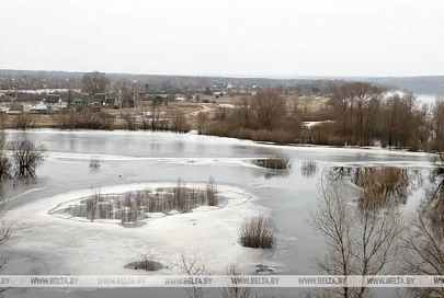 Талые воды подтопили дачные участки и дороги в Брестской и Гомельской областях