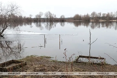Талые воды подтопили подворья и дачные дома в Брестской и Гомельской областях