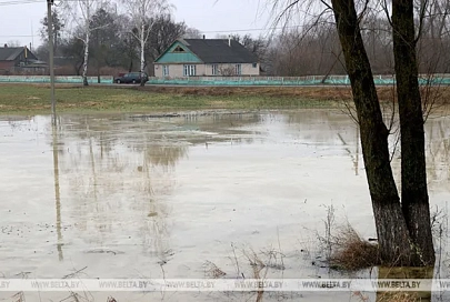 Талые воды подтопили дачные участки в Гомельской области