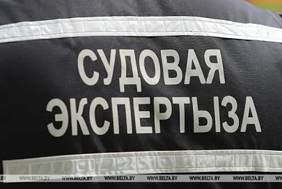 Более 850 скелетов времен ВОВ исследовали судмедэксперты Гомельской области