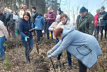 Профсоюзная первичка Гомельской центральной городской детской клинической поликлиники поддержала акцию «Неделя леса – 2023»