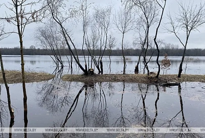 Помощь в режиме 24/7. В Гомельской области из-за паводка временно отселено 27 горожан