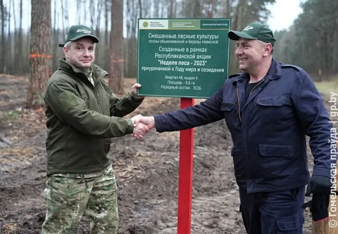 Председатель облисполкома Иван Крупко присоединился к Неделе леса